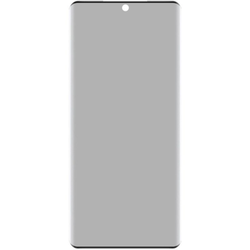 Anti-spionage-displayschutzfolie Aus Gehärtetem Glas Für Vivo V40 5g