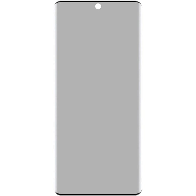 Anti-spionage-displayschutzfolie Aus Gehärtetem Glas Für Vivo V30 5g