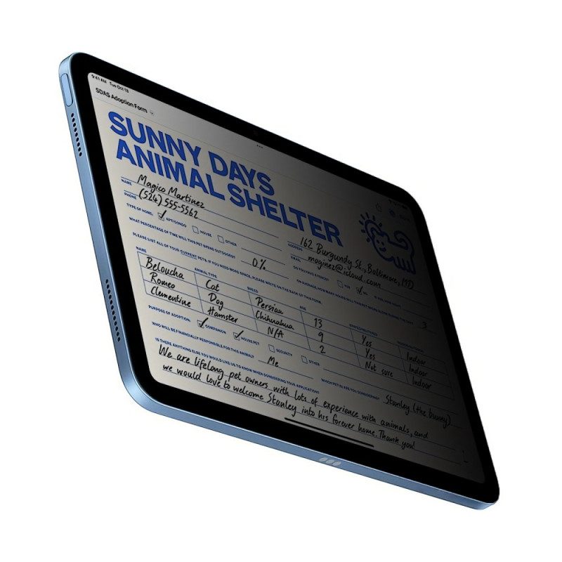 Anti-spionage-displayschutzfolie Aus Gehärtetem Glas Für iPad (2025) / 10.9" (2022)